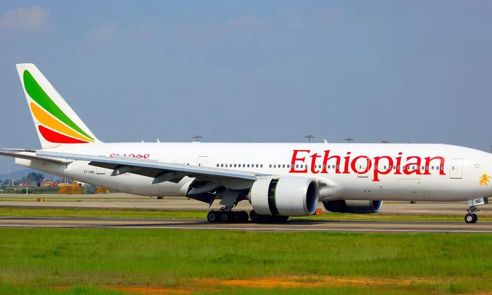 Ethiopian Air mishap